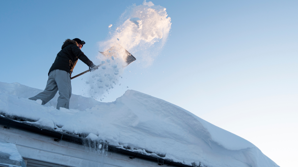 Roof Cleaning Services in Abbotsford