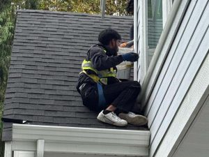 Trust Professional Exterior Cleaning