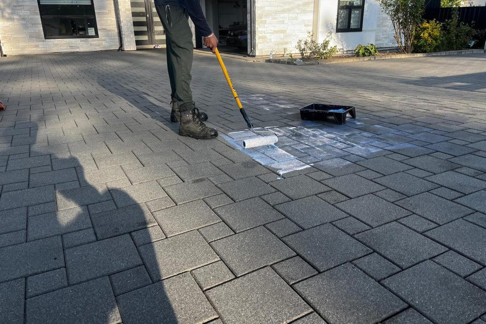 WhatsApp Image 2025-11-11 at 12.21.06 PM