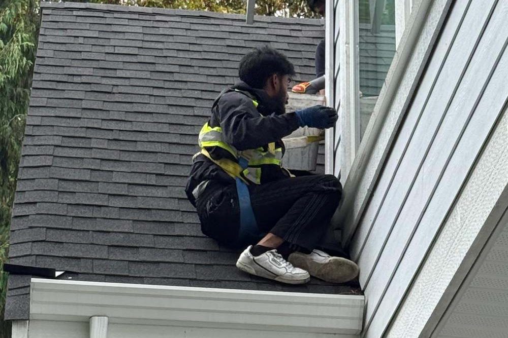 gutter cleaning