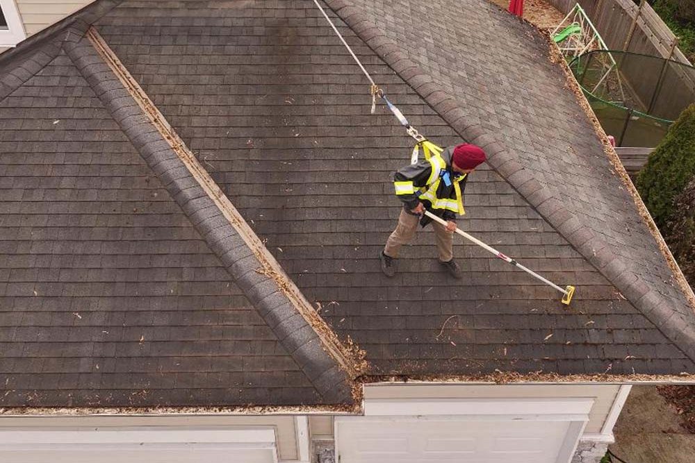 roof cleaning